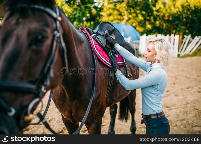 Female rider preparing a horse saddle, horseback riding. Equestrian sport, young woman and beautiful stallion, farm animal