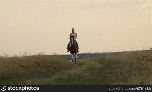 Female rider rides horse on road through the field in evening