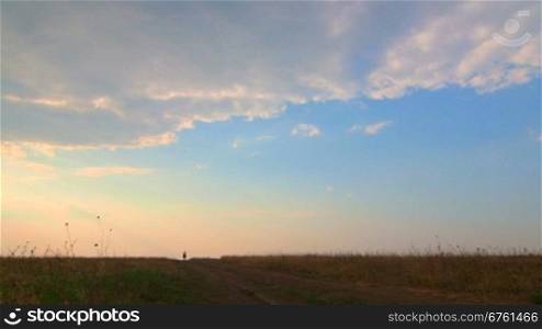 Female rider riding horse on the horizon across the field in evening