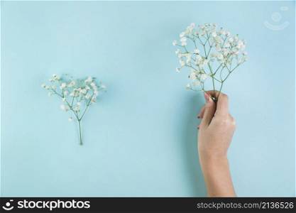 female s hand holding baby s breath flowers against blue background