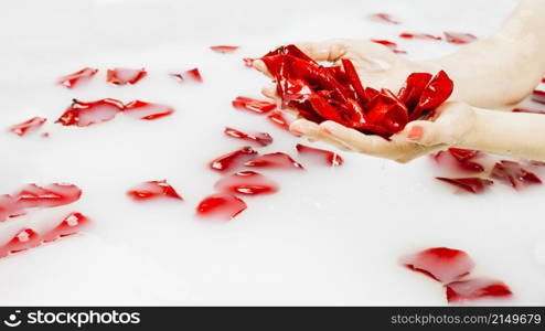 female s wet hand holding red flower petals clear white water