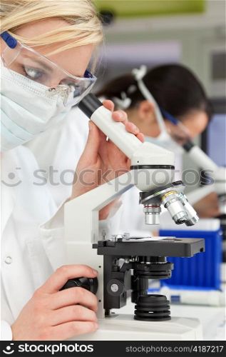 Female Scientific Research Team Using Microscopes in a Laboratory