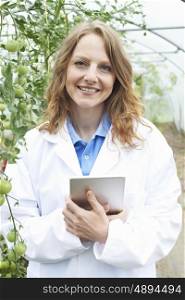 Female Scientist In Greenhouse Researching Tomato Crop