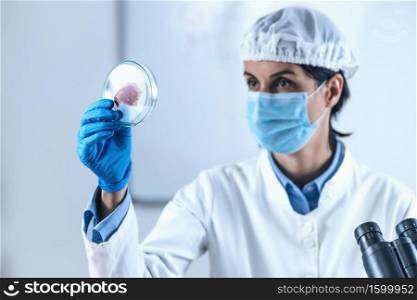Female Scientist Looking at Meat Sample in Petri Dish in Laboratory