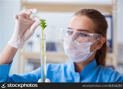 Female scientist researcher conducting an experiment in a labora. Female scientist researcher conducting an experiment in a laboratory