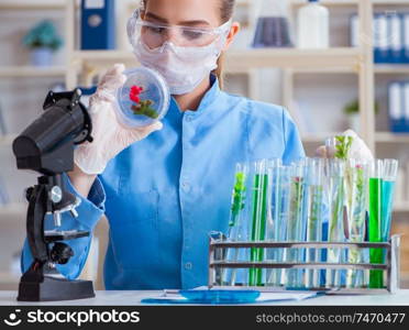 Female scientist researcher conducting an experiment in a laboratory. Female scientist researcher conducting an experiment in a labora