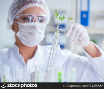 Female scientist researcher conducting an experiment in a laboratory. Female scientist researcher conducting an experiment in a labora