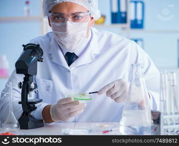 Female scientist researcher conducting an experiment in a laboratory. Female scientist researcher conducting an experiment in a labora