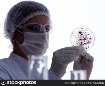 Female scientist researcher conducting an experiment in a laboratory. Female scientist researcher conducting an experiment in a labora