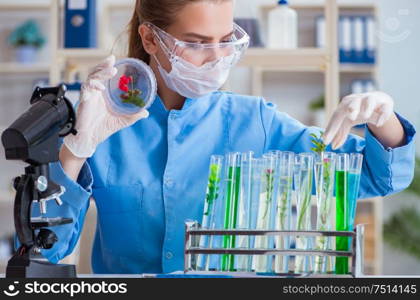 Female scientist researcher conducting an experiment in a laboratory. Female scientist researcher conducting an experiment in a labora