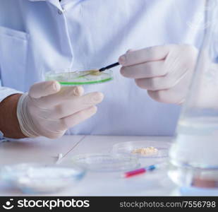 Female scientist researcher conducting an experiment in a laboratory. Female scientist researcher conducting an experiment in a labora