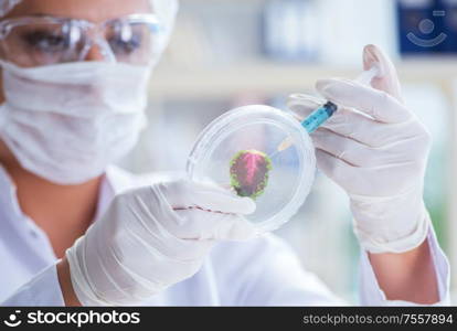 Female scientist researcher conducting an experiment in a laboratory. Female scientist researcher conducting an experiment in a labora