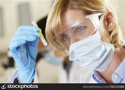 Female Scientist Studying Test Tube In Laboratory