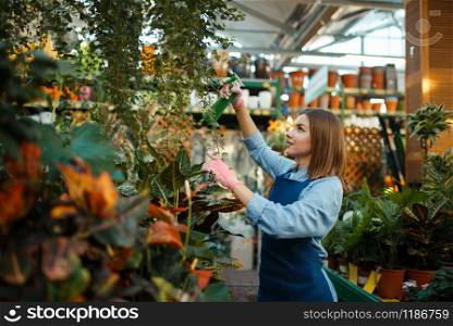 Female seller spraying plants in shop for gardening. Woman in apron sells flowers in florist store, floriculture