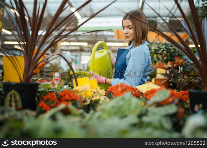 Female seller watering plants in shop for gardening. Woman in apron sells flowers in florist store
