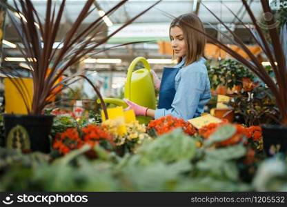 Female seller watering plants in shop for gardening. Woman in apron sells flowers in florist store