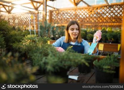 Female seller with garden shovel takes care of plants in shop for gardening. Woman in apron sells flowers in florist store