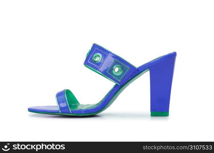 Female shoes on white background