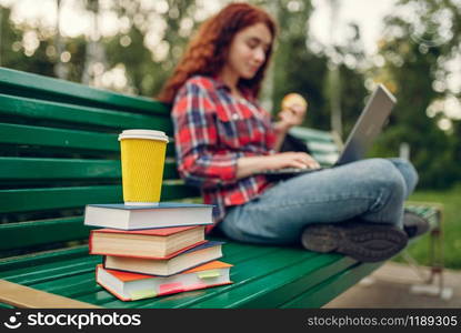 Female student having lunch on the bench in summer park, top view. Ginger teenager leisures outdoors, pretty girl relax outside. Female student having lunch on the bench in park