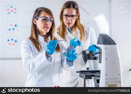 Female students researching s&les in laboratory