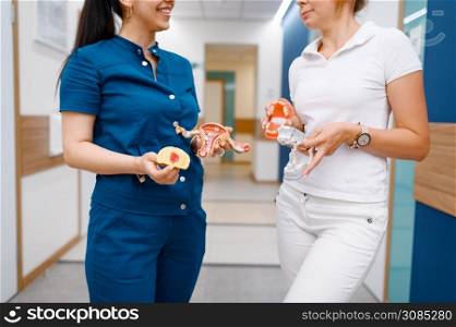 Female surgeon and dentist talks in clinic hall, surgery. Doctors in uniform, medical workers, medicine and health, professional healthcare in hospital. Female surgeon and dentist talks in clinic hall