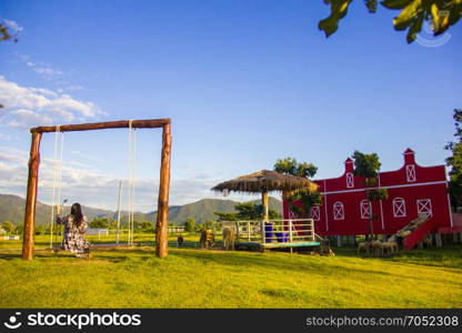 Female tourist sitting in wooden swing looking at a flock of sheep in sheep farm