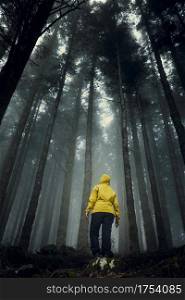 Female traveler in the middle of a forest on a foggy day