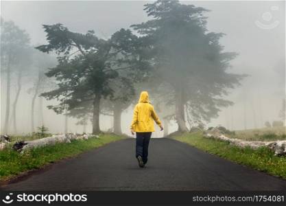 Female traveler walking on a beautiful road on a foggy morning