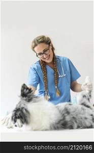 female veterinarian examining dog clinic