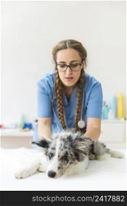 female veterinarian examining dog table clinic