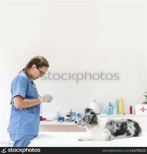 female veterinarian standing near dog table clinic