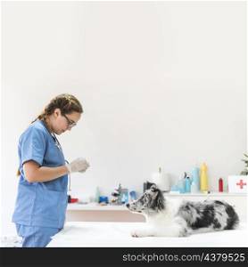 female veterinarian standing near dog table clinic