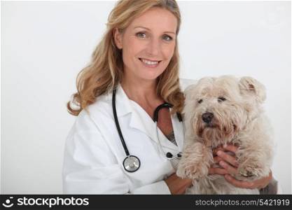 female veterinary and a dog