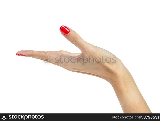 female woman hand holding isolated on white