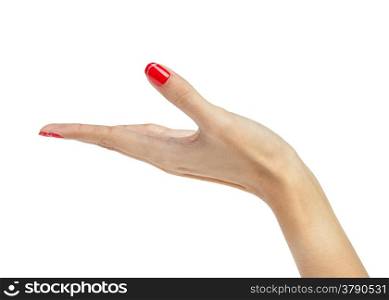 female woman hand holding isolated on white
