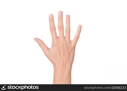 Female woman hand isolated on the white. woman hand