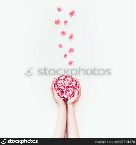 Female women hand holding water bowl with pink flowers on white desk with petals, top view. Beauty and skin care concept. Minimal. Flat lay. Layout