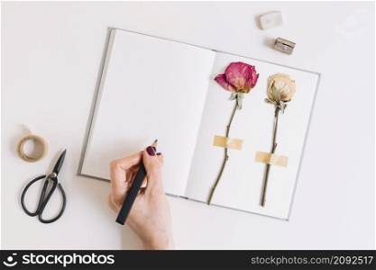female writing with pencil notebook with dry roses stuck white page