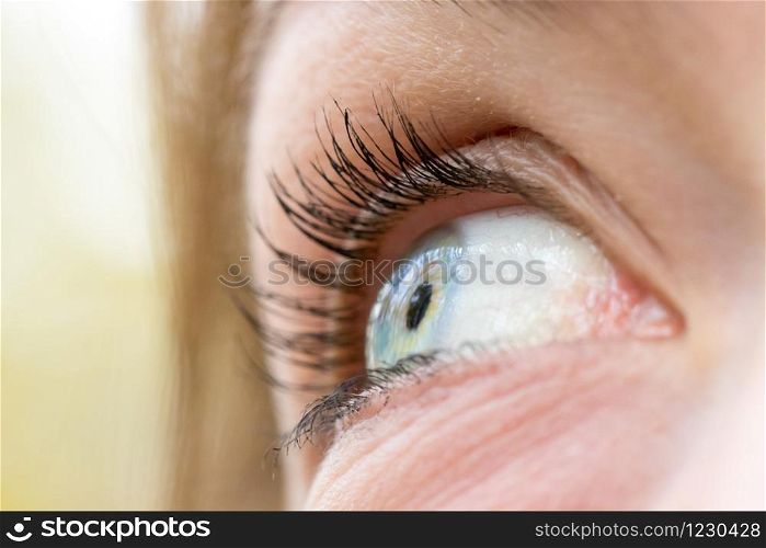 Feminine eye, close up with blue iris and eyelashes