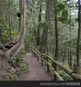 Fence along a pathway in a forest, Deception Pass State Park, Oak Harbor, Washington State, USA