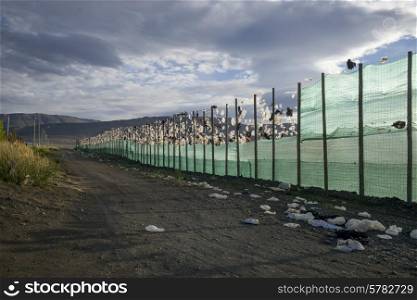 Fence along dirt road in field, Santa Cruz Province, Patagonia, Argentina