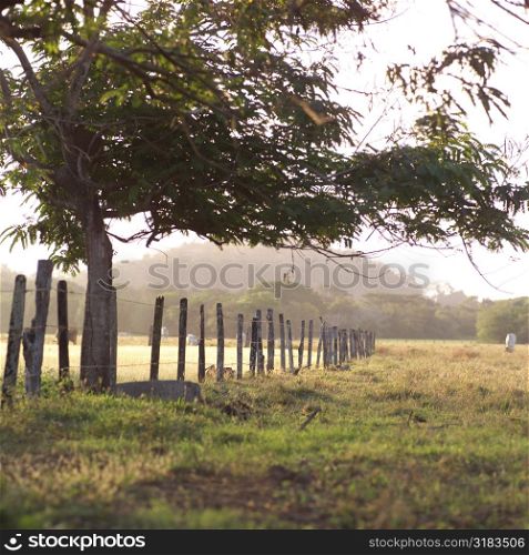 Fence along farmland in Costa Rica