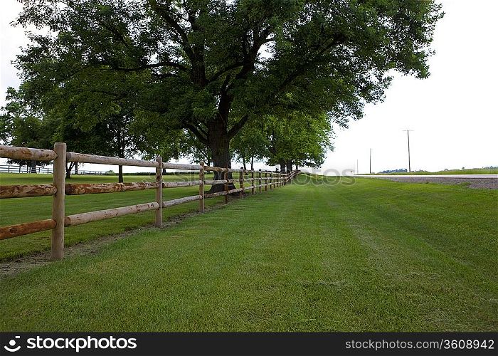 Fence along field