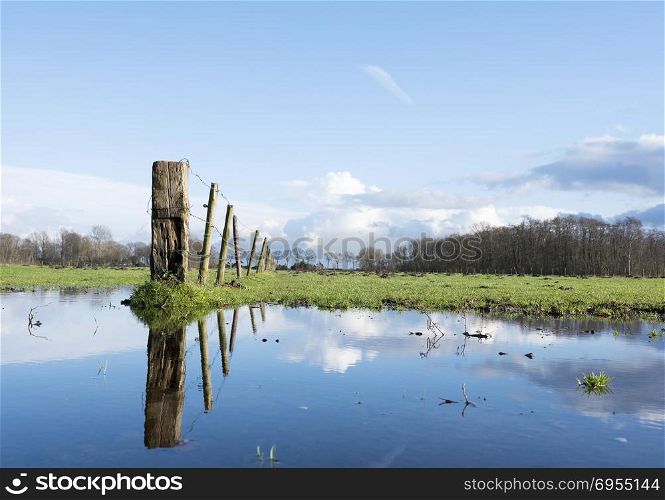 fence and reflection in puddle in green meadow in holland near eemnes and amersfoort with blue sky