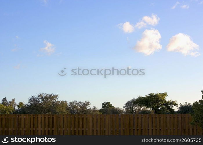 Fence and trees