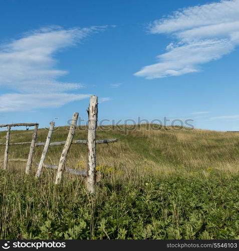 Fence at Witless Bay, Avalon Peninsula, Newfoundland And Labrador, Canada