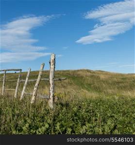 Fence at Witless Bay, Avalon Peninsula, Newfoundland And Labrador, Canada