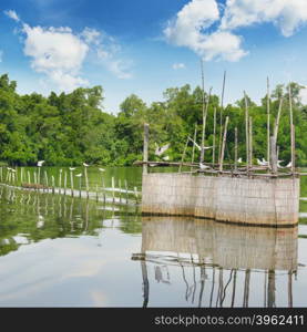 fence for fishing in the lake