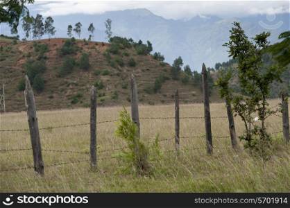 Fence in a field, Punakha District, Bhutan