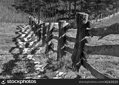 Fence in Black and White